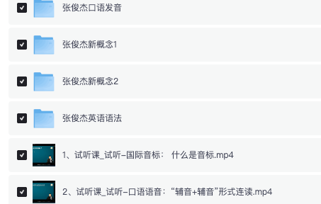 《张俊杰英语全套课程新概念 音标 口语 语法》:全面突破英语四大基础